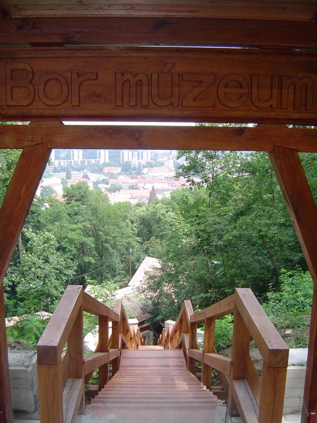 bormúzeum